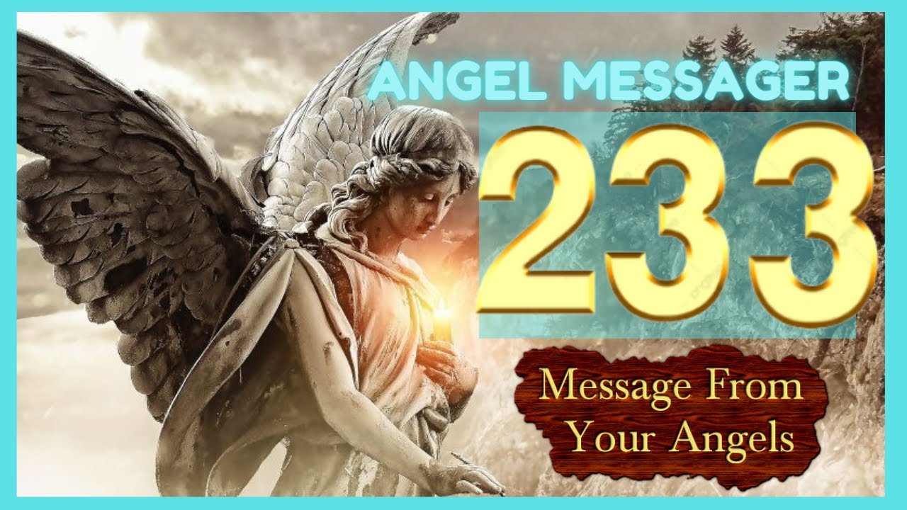 233 numerologia