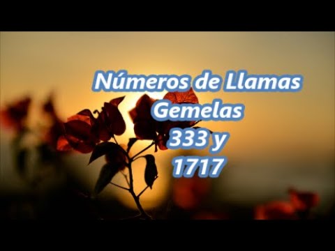 333 llamas gemelas