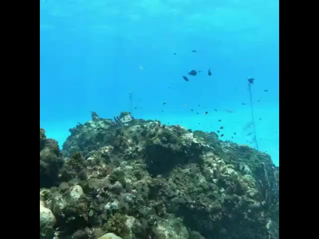 algunos buscan un mundo mas bonito otros lo crean