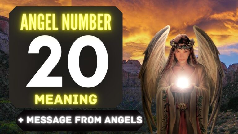angel 20