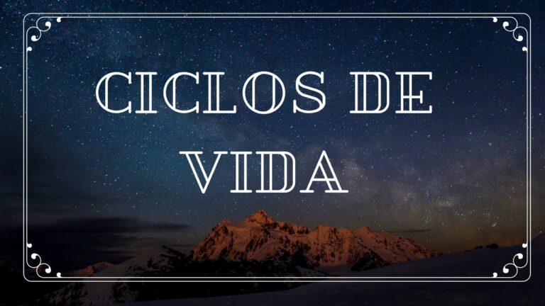ciclo de vida 1 numerologia