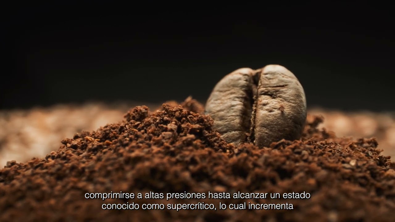 como descafeinar el cafe