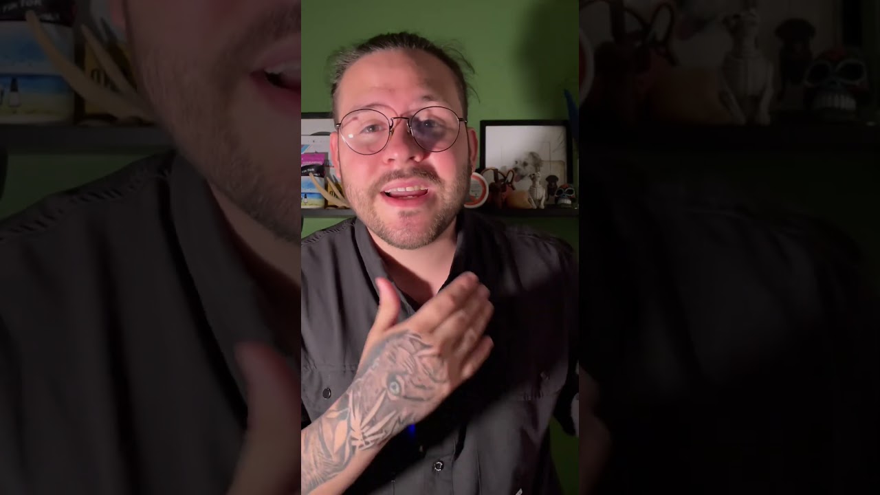 como hacer de mi perro un perro de terapia