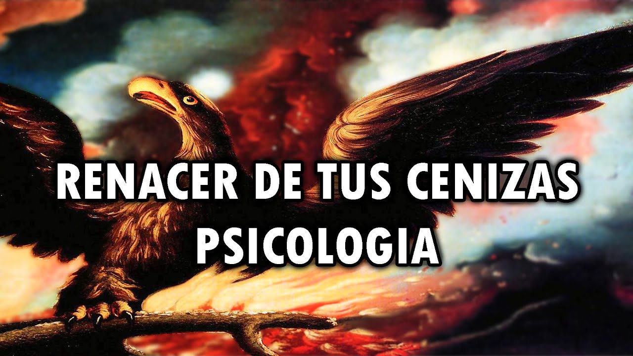 como resurgir de las cenizas