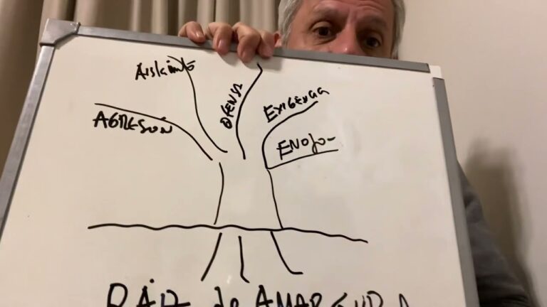 como se quita la amargura