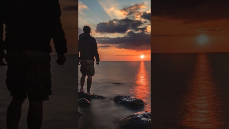 cuando te necesitan te buscan