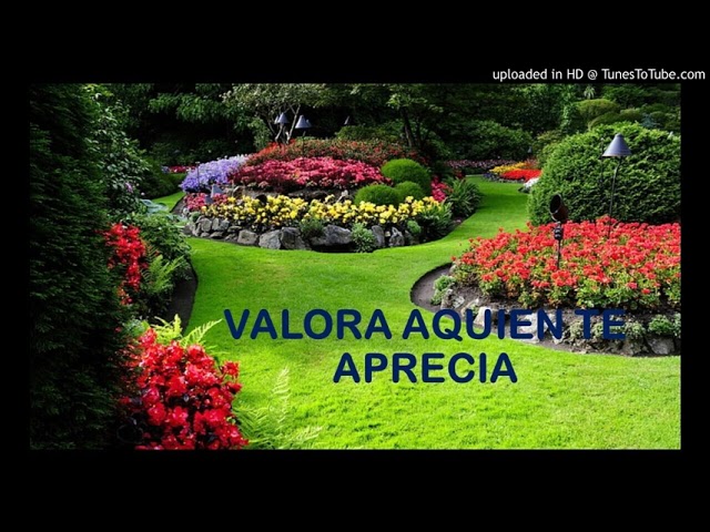 cuando un hombre te dice te aprecio mucho