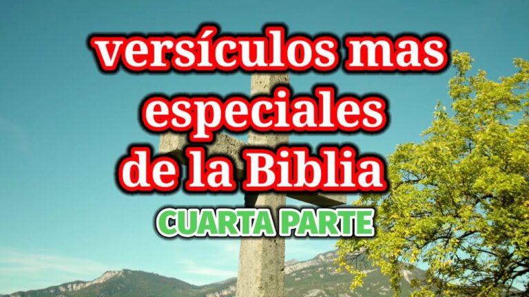 dedicatoria para regalar una biblia