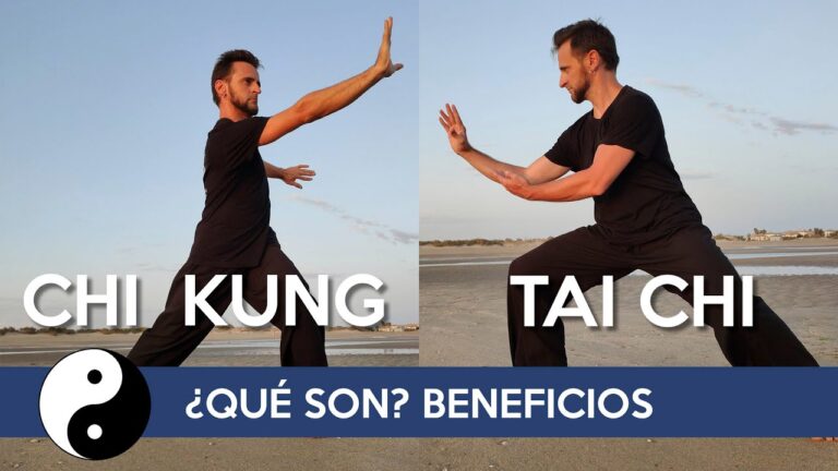 diferencias entre taichi y chikung