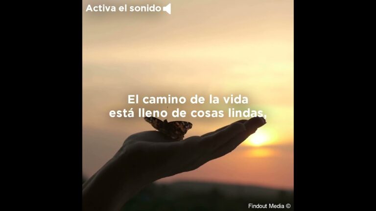 el camino de la vida frases