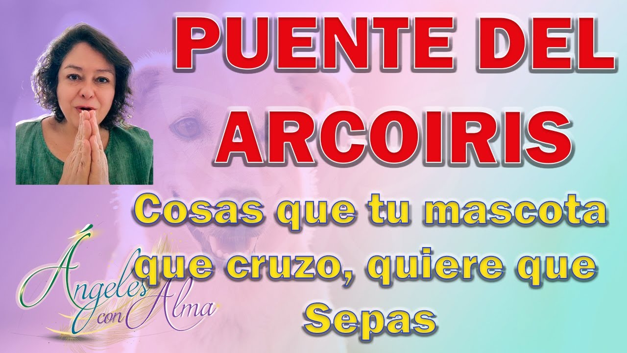el espíritu de mi perro está conmigo