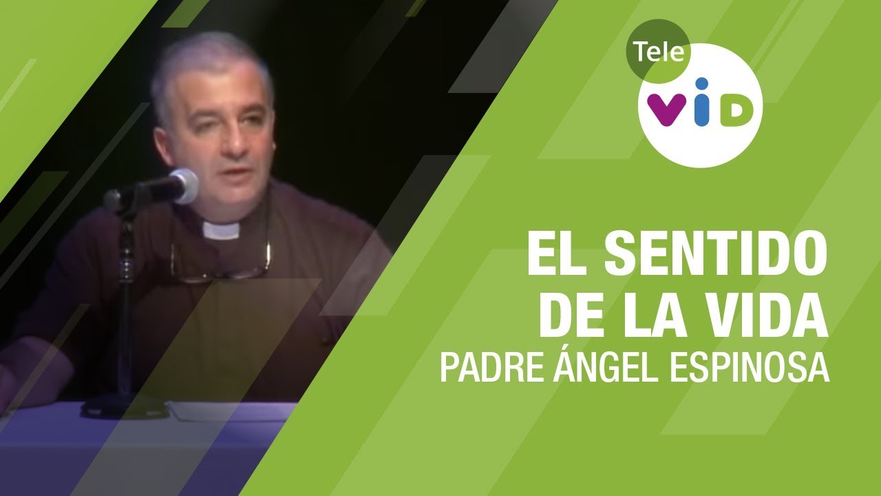 el sentido de la vida reflexion