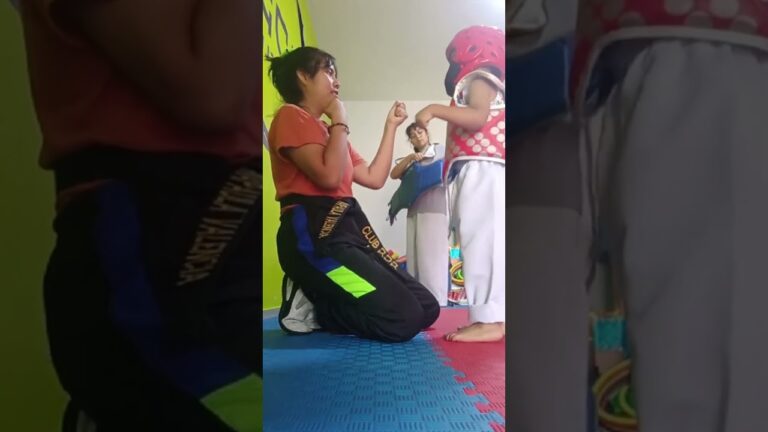 feliz dia del maestro taekwondo