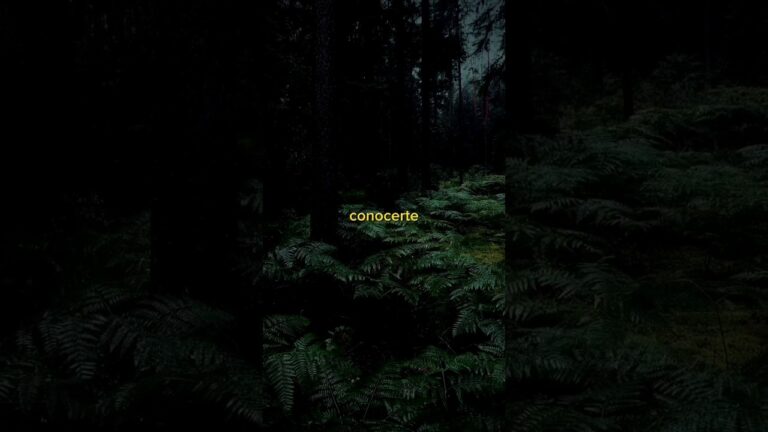 feliz dia del niño que llevamos dentro frases