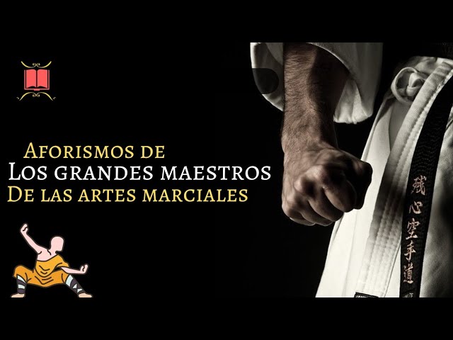 frases celebres de las artes marciales