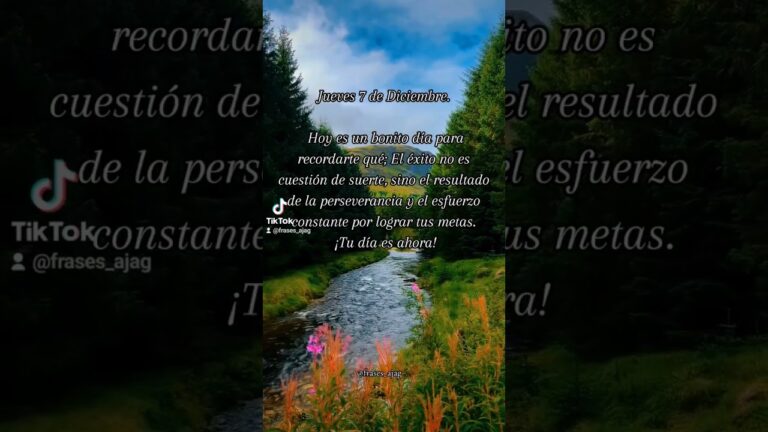 frases de 7 de diciembre