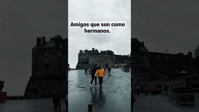 frases de amistad entre hermanos