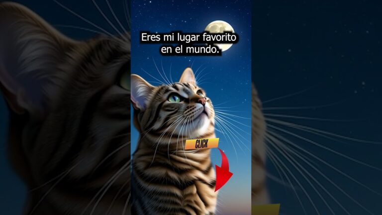 frases de amor en paredes