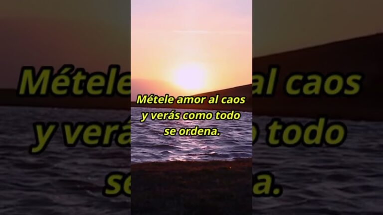 frases de caos y amor