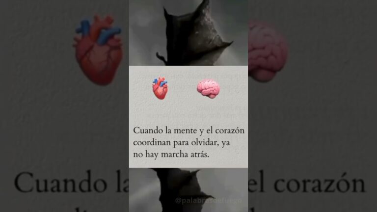 frases de corazon y mente