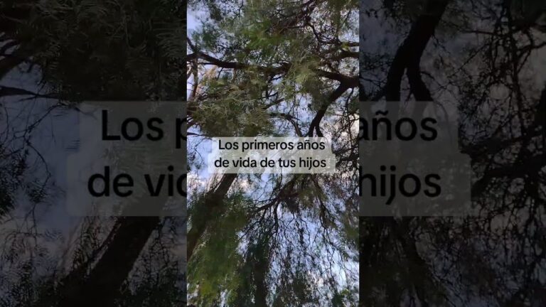 frases de maternidad y paternidad responsable