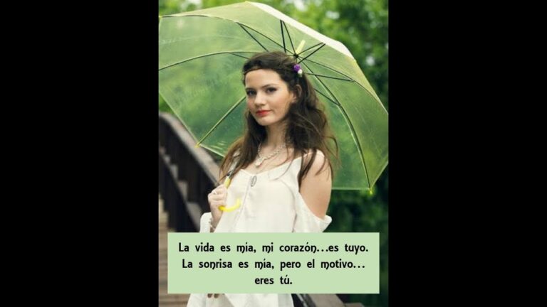 frases de panda de amor