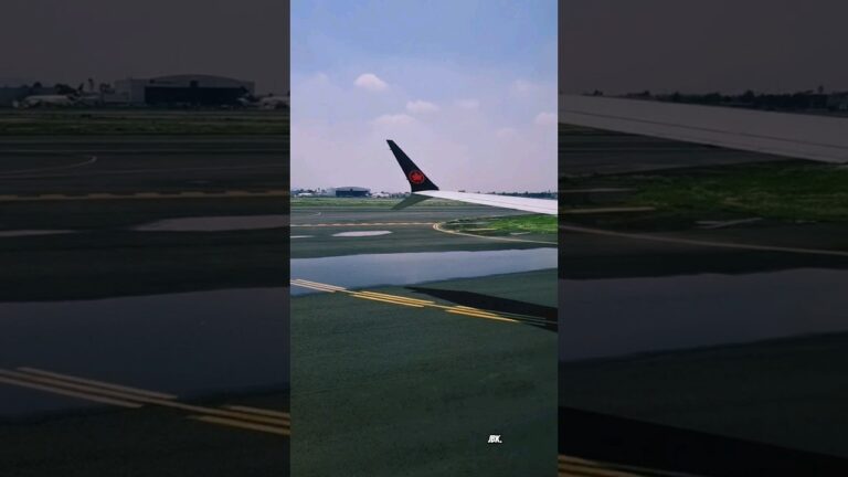 frases de regreso a casa