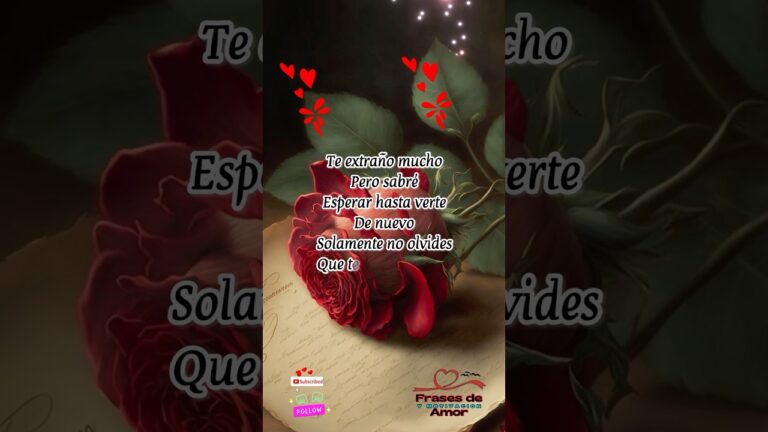 frases de regreso al amor