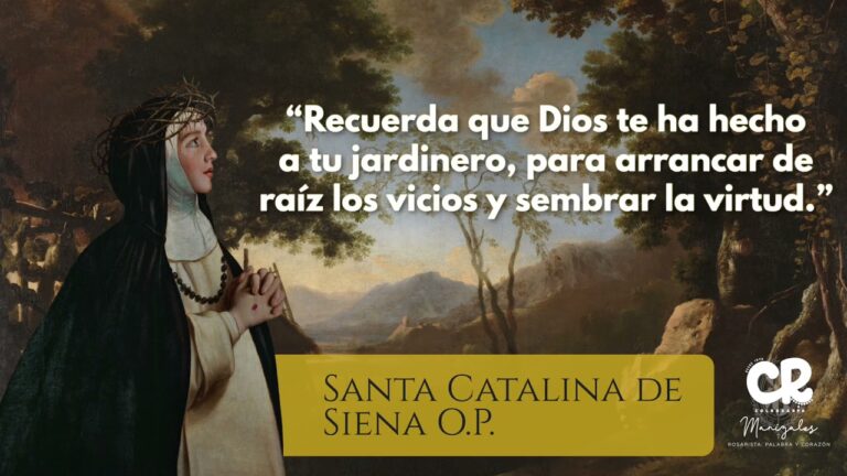 frases de santa catalina de siena sobre la amistad
