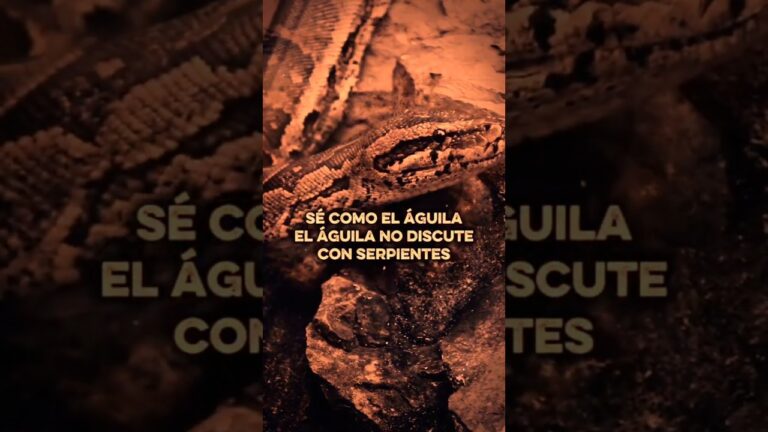 frases del aguila y la serpiente