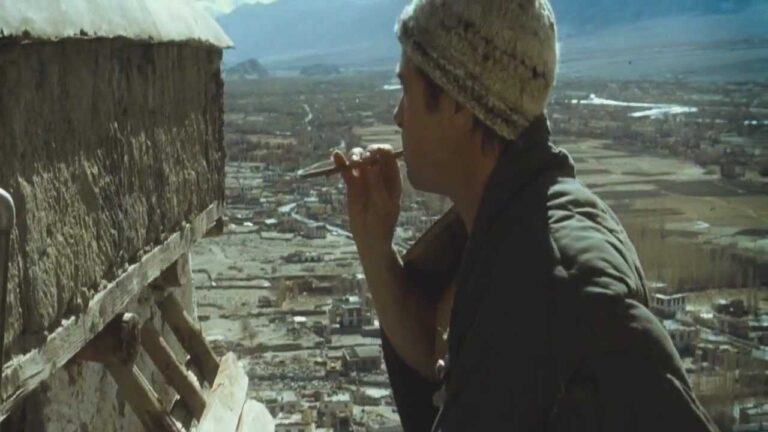 frases el curioso caso de benjamin button