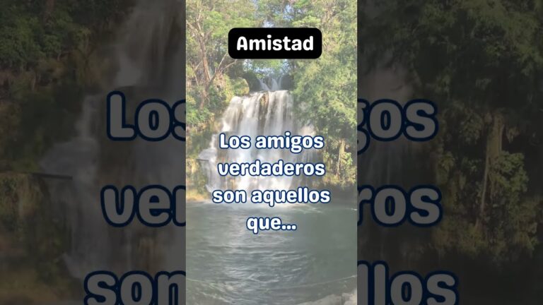frases en las buenas y enlas malas siempre juntos