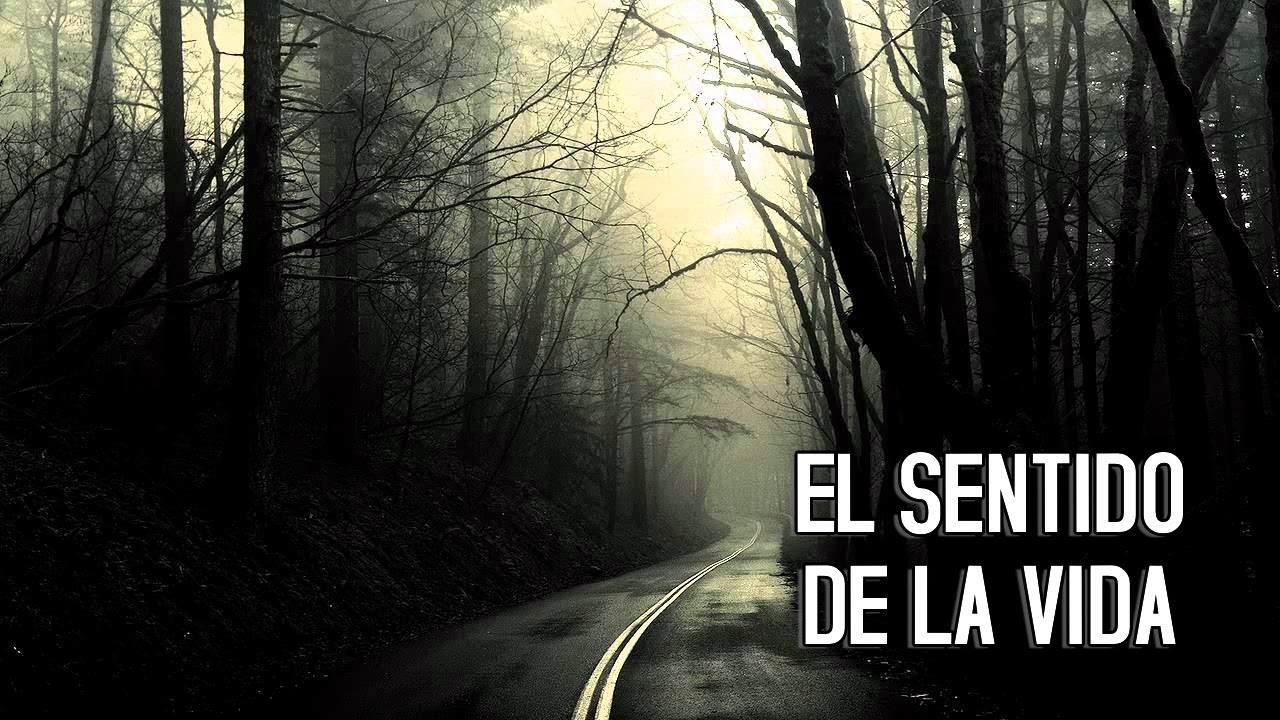 frases la vida no tiene sentido