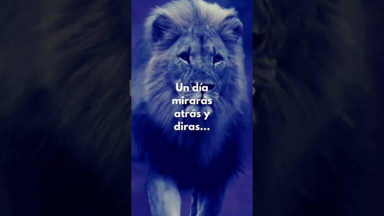 frases no pidas lo que tu no das