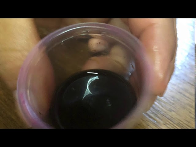 frases para brindar con tequila