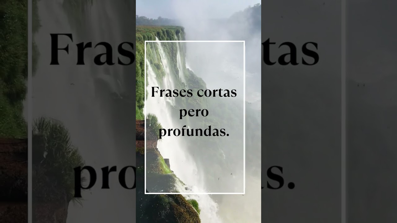 frases para cuidar los dientes