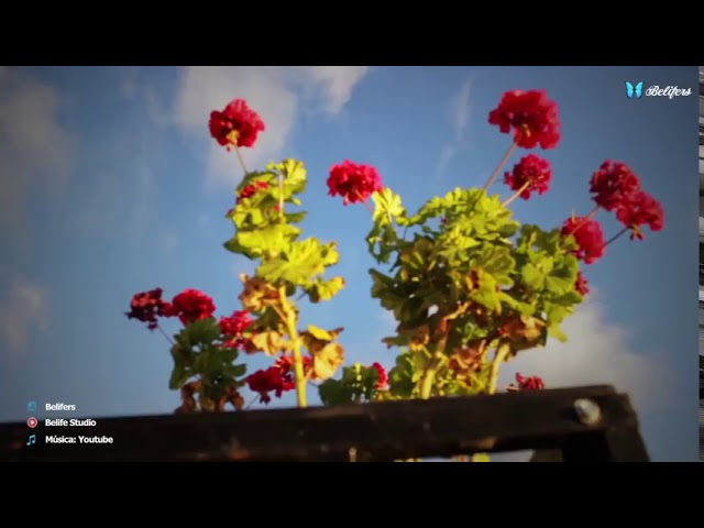 frases para quien te lastimo