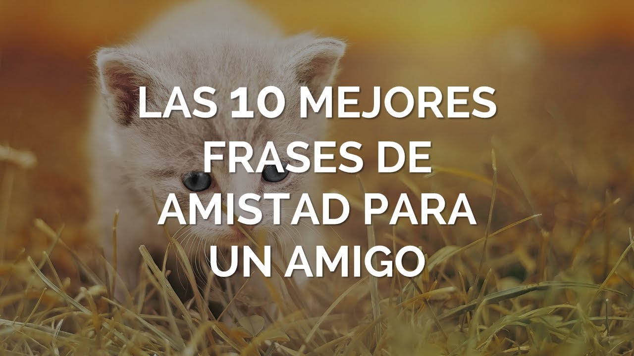 frases para un amigo que no veo hace tiempo