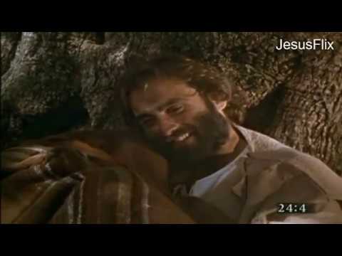 hasta el fin del mundo frases