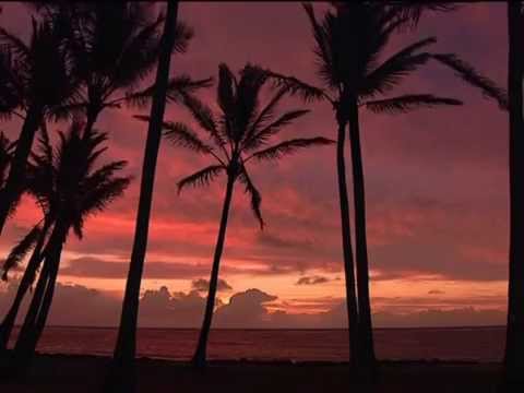 hoy comienzo una nueva vida