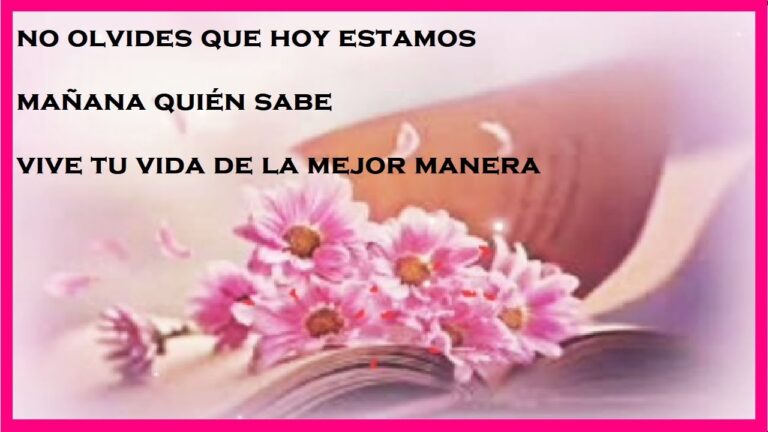 hoy estamos mañana quien sabe frases