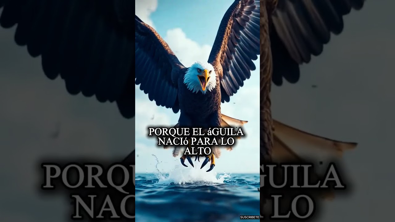 imagenes de aguilas con frases