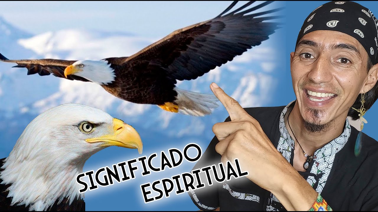 imagenes de aguilas con mensajes