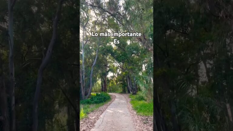 imagenes de bosques con frases