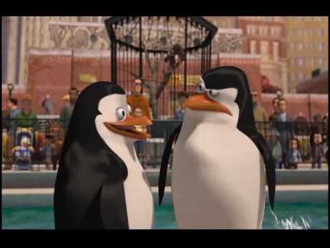 imagenes de los pinguinos de madagascar con frases