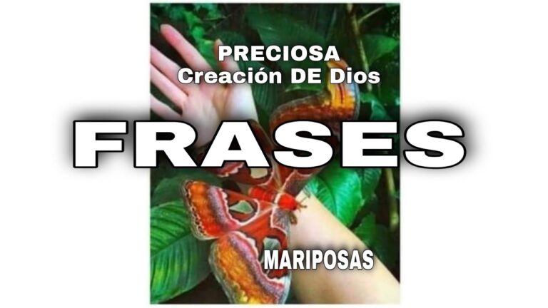 imagenes de mariposas con poemas