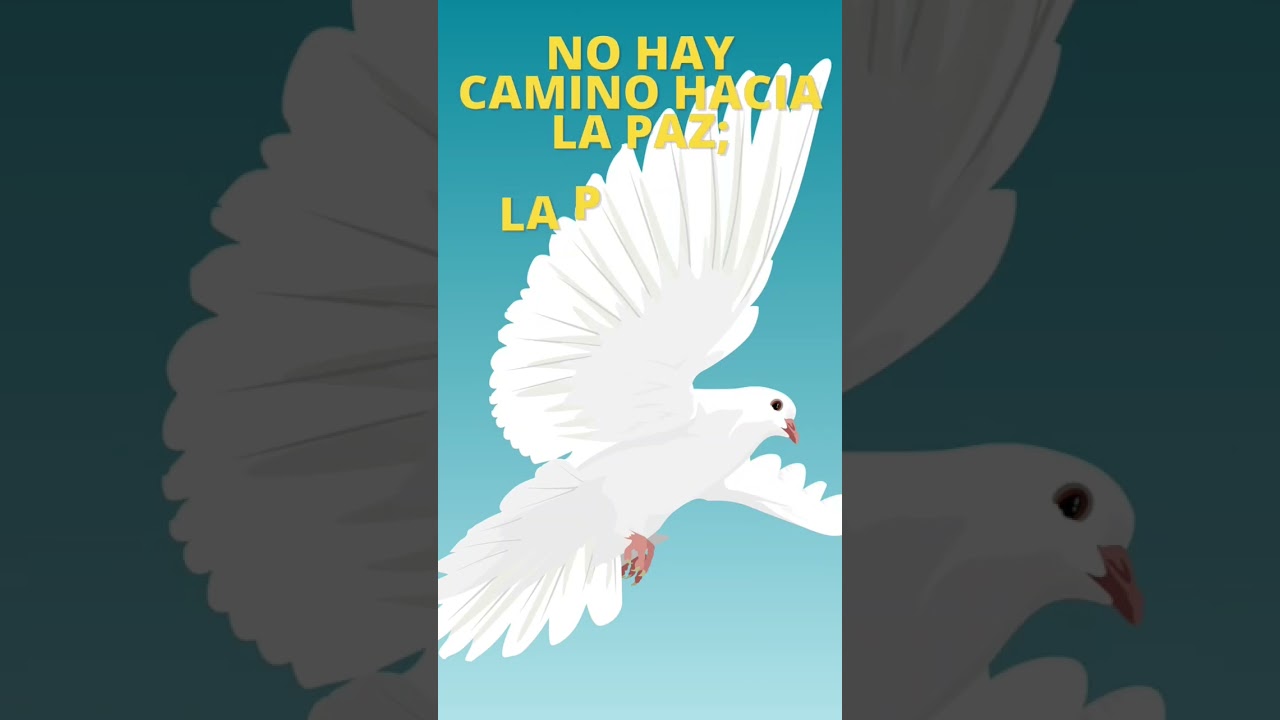 imágenes de palomas con frases bonitas