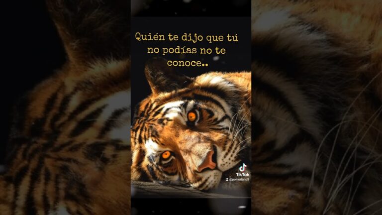imagenes de tigres con frases
