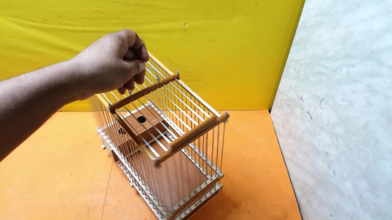 jaulas pequeñas para pajaros