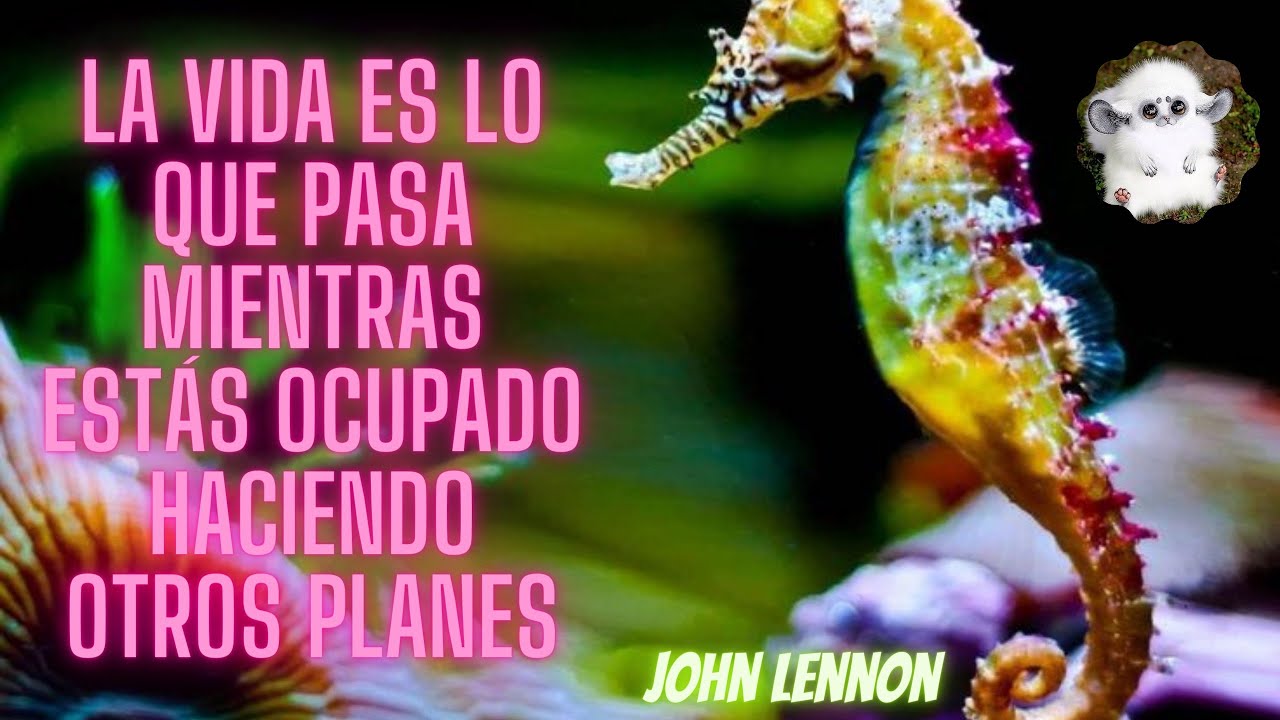 la vida es lo que pasa mientras